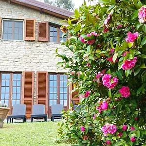  Villa Camelia Tuscany